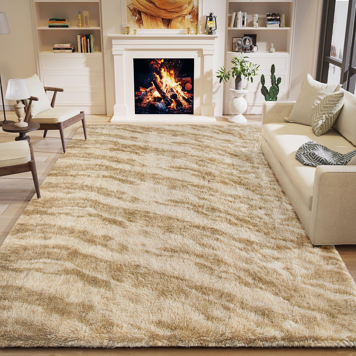 4x6 Area Rug