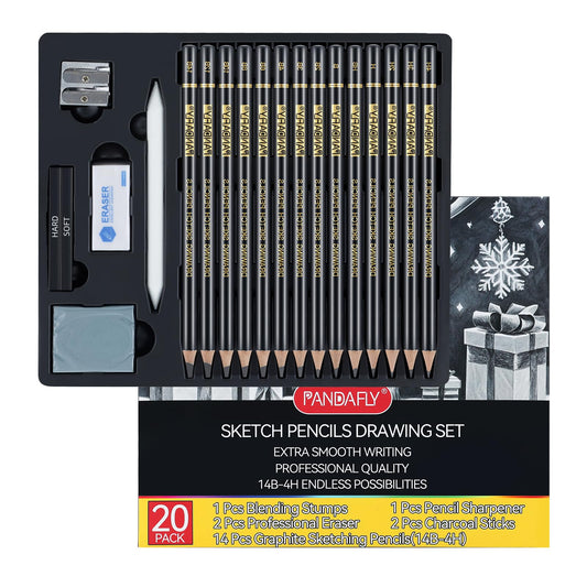 20-Piece Professional Sketch Pencil Set