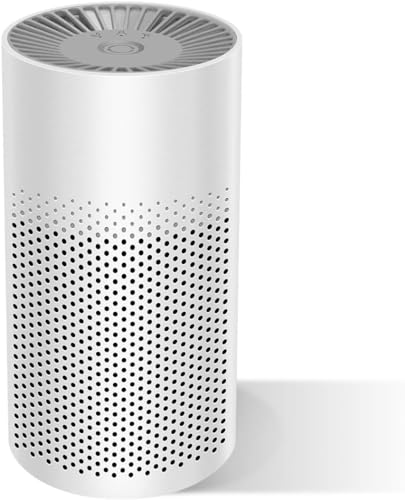 Mini Portable Air Purifier