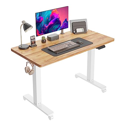 48 x 24 Inches Height Adjustable Electric Standing Desk