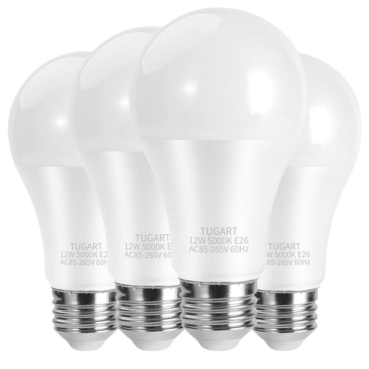 4 Pack 60W Equivalent A19 LED Light Bulbs