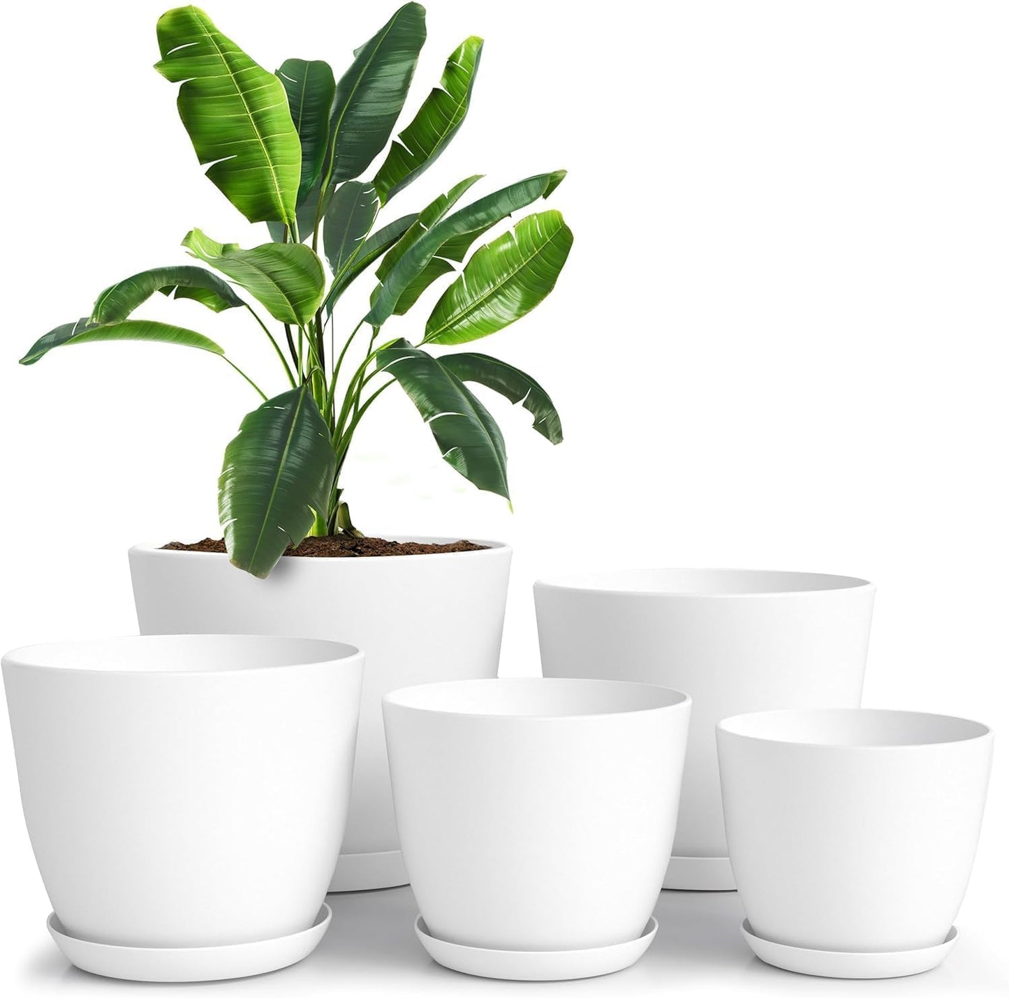 Indoor Plant Pots with Drainage – Set of 5