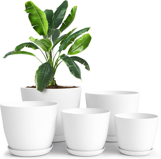 Indoor Plant Pots with Drainage – Set of 5