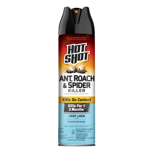 Hot Shot Ant, Insecticide Spray, 17.5 Ounce