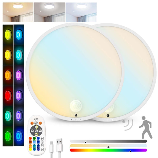 2 Pack Motion Sensor Ceiling Light