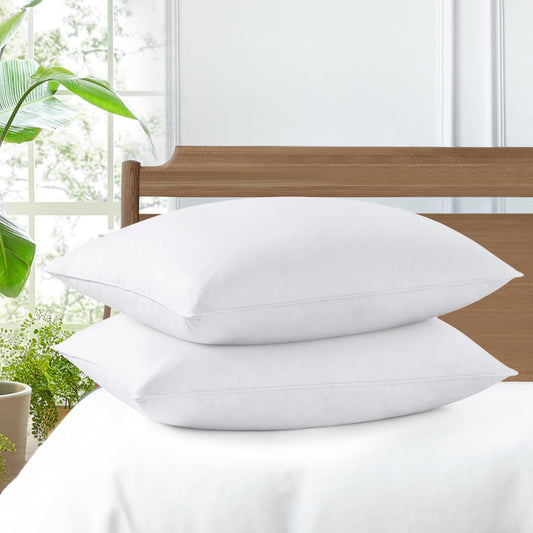 Set of 2 Luxury Goose Feather Down Queen Pillows