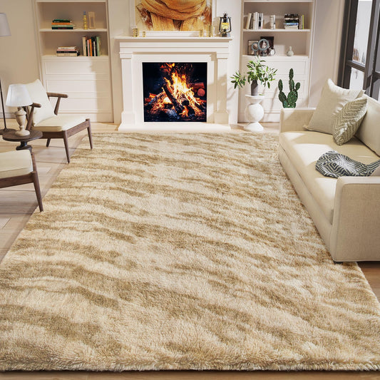 4x6 Area Rug